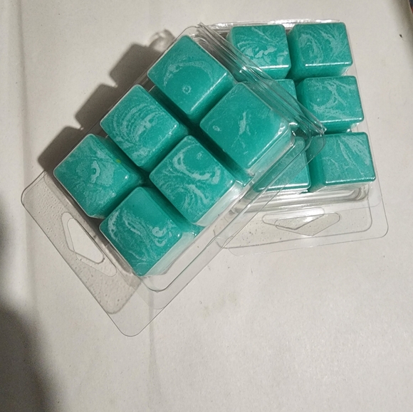 Sea Salt Oasis (type) Wax Melts (Handcrafted) - Picture 2 of 4
